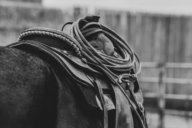 A coiled rope resting on a worn leather saddle